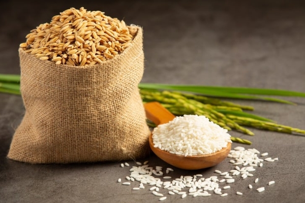 Organic Rice, Pulses & More